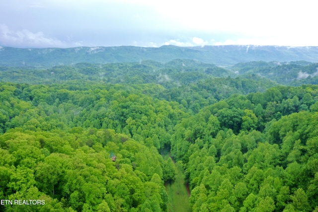 555 County Road 484, Englewood, TN 37329 - view of mountain backdrop with a forest