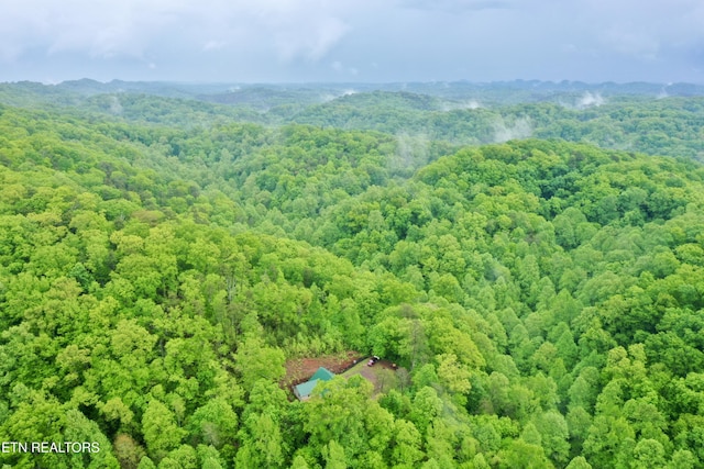 555 County Road 484, Englewood, TN 37329 - aerial view of a heavily wooded area