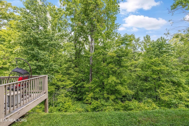 6749 Albatross Ln, Knoxville, TN 37921 - view of yard