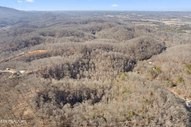 1566 Hawk Ln, Seymour, TN 37865 - drone / aerial view featuring a mountain view and a forest view