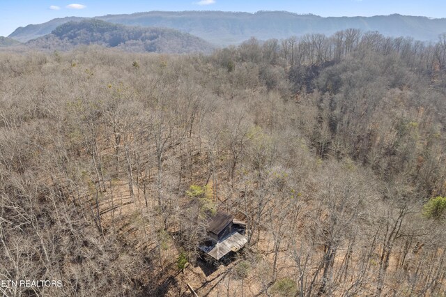 1566 Hawk Ln, Seymour, TN 37865 - mountain view with a forest view