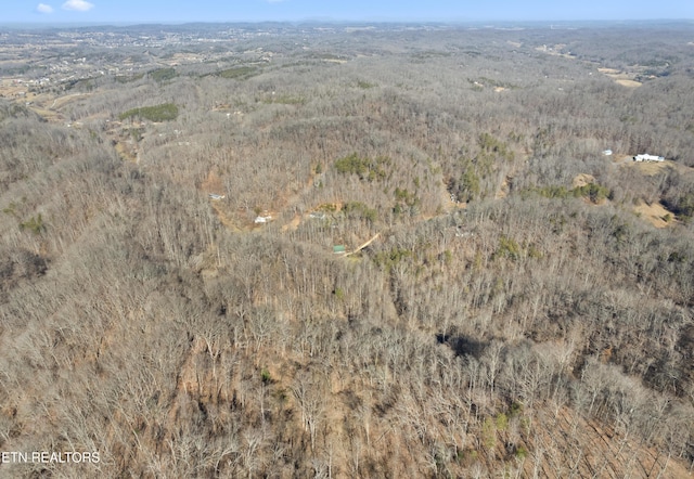 1566 Hawk Ln, Seymour, TN 37865 - bird's eye view with a view of trees