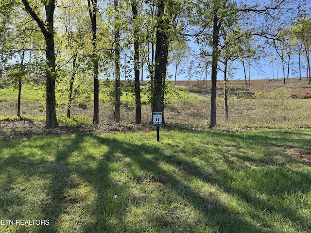 1031 Black Cove Ln, Loudon, TN 37774