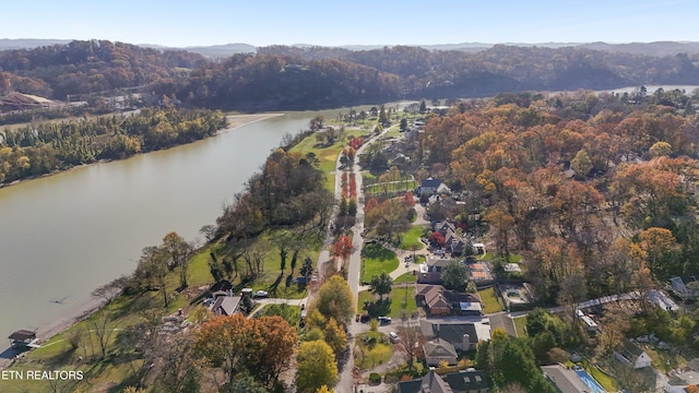 1233 Cherokee Blvd, Knoxville, TN 37919 - photo 2