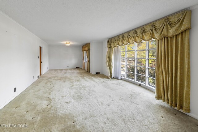 1233 Cherokee Blvd, Knoxville, TN 37919 - photo 5