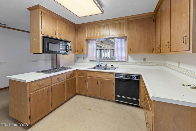 1233 Cherokee Blvd, Knoxville, TN 37919 - photo 10