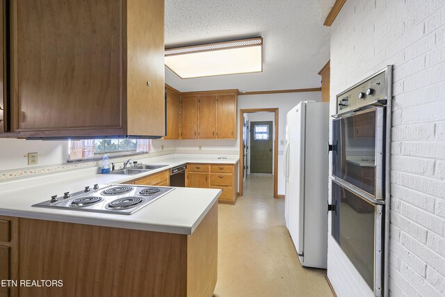 1233 Cherokee Blvd, Knoxville, TN 37919 - photo 11