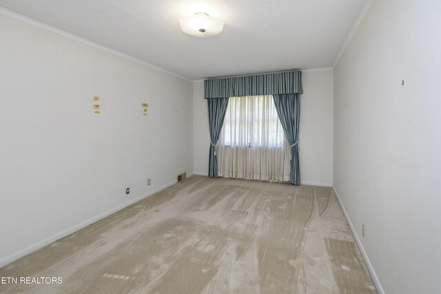 1233 Cherokee Blvd, Knoxville, TN 37919 - photo 18