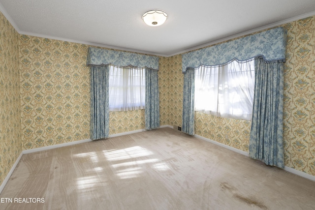 1233 Cherokee Blvd, Knoxville, TN 37919 - photo 20