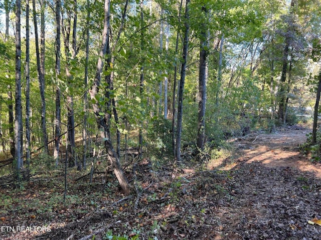 822 W Bates St, Rockwood, TN 37854
