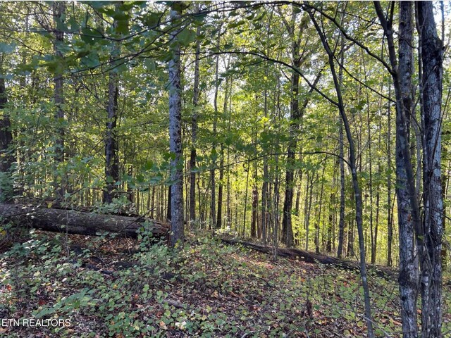 822 W Bates St, Rockwood, TN 37854