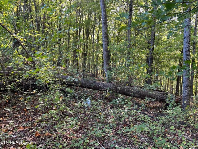 822 W Bates St, Rockwood, TN 37854