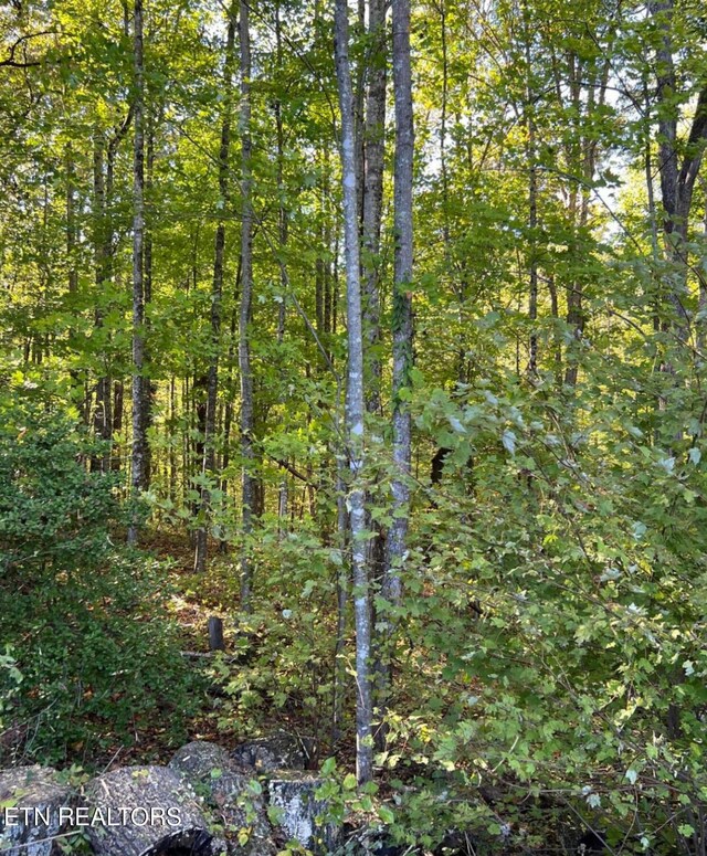 822 W Bates St, Rockwood, TN 37854