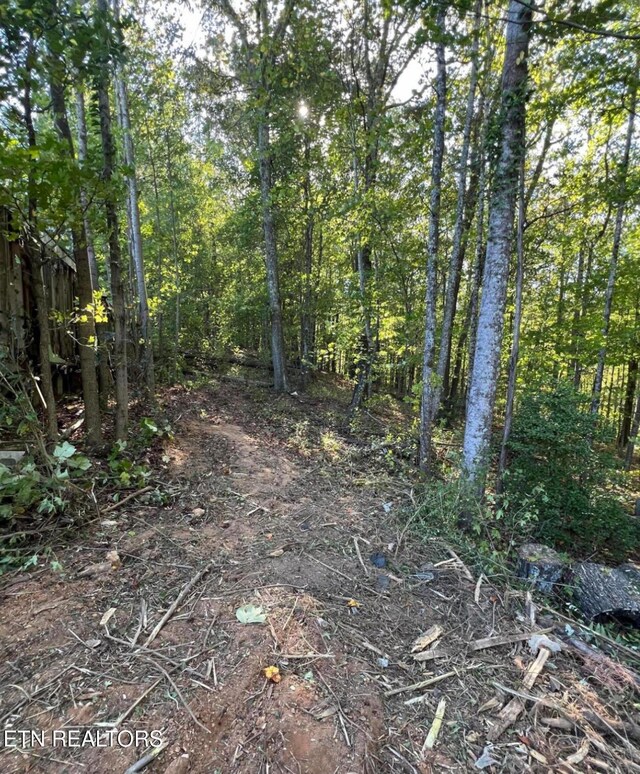 822 W Bates St, Rockwood, TN 37854