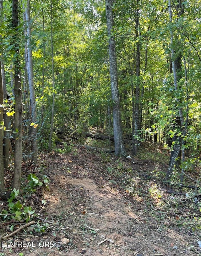 822 W Bates St, Rockwood, TN 37854