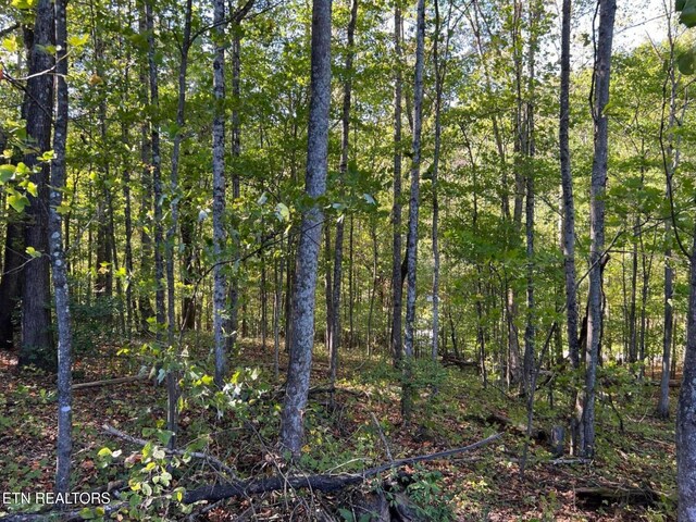 822 W Bates St, Rockwood, TN 37854