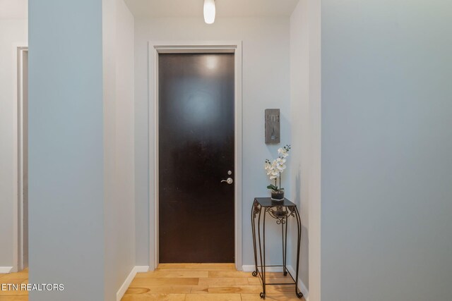 220 W Jackson Ave Unit 503, Knoxville, TN 37902 - photo 11