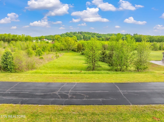 443 Water View Dr, Rockwood, TN 37854 - photo 1