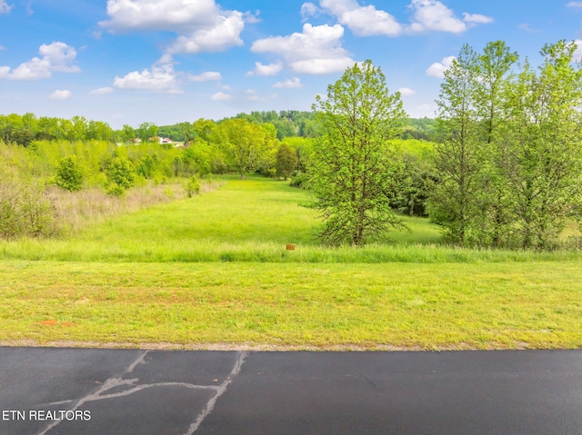 443 Water View Dr, Rockwood, TN 37854 - photo 2