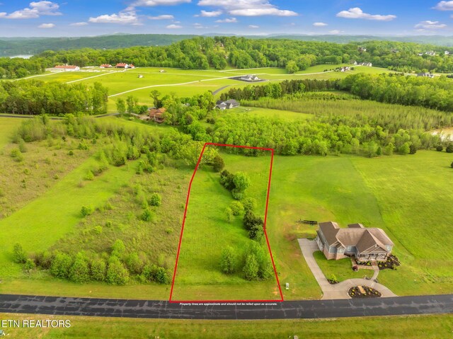 443 Water View Dr, Rockwood, TN 37854 - photo 3