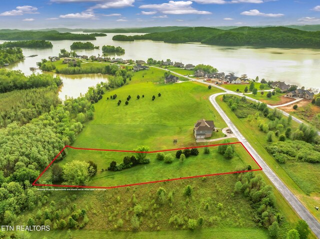443 Water View Dr, Rockwood, TN 37854 - photo 4