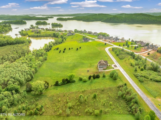 443 Water View Dr, Rockwood, TN 37854 - photo 8