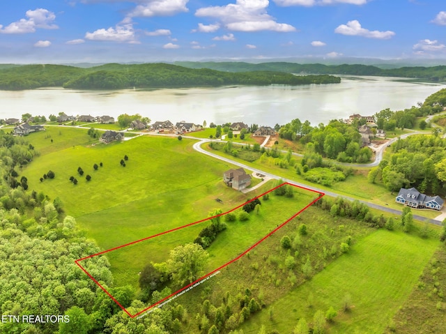 443 Water View Dr, Rockwood, TN 37854 - photo 5