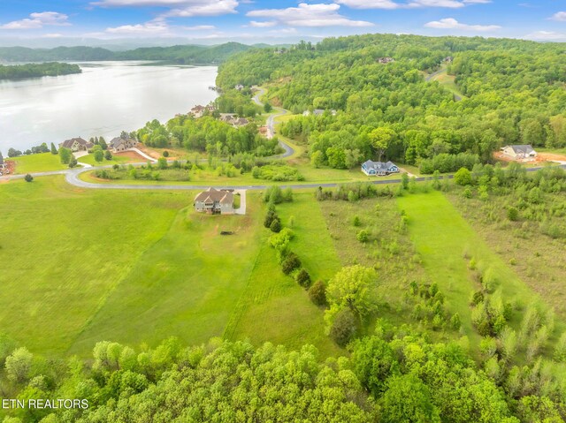 443 Water View Dr, Rockwood, TN 37854 - photo 11