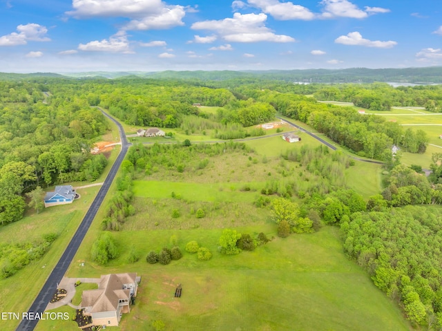 443 Water View Dr, Rockwood, TN 37854 - photo 13