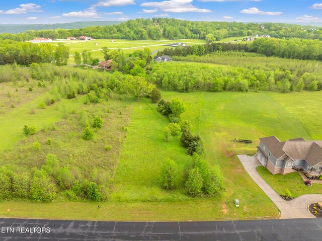 443 Water View Dr, Rockwood, TN 37854 - photo 15