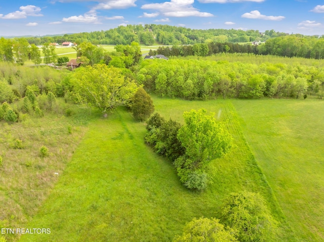 443 Water View Dr, Rockwood, TN 37854 - photo 16
