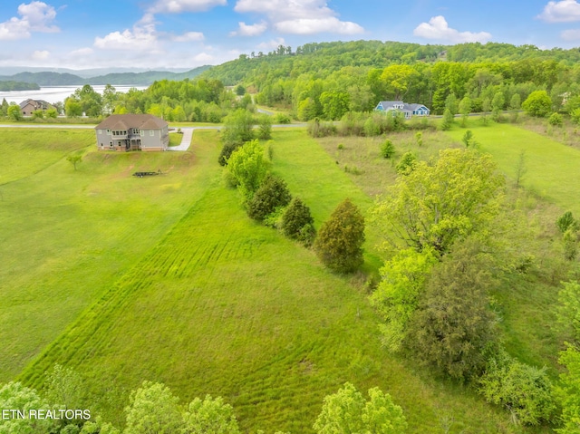 443 Water View Dr, Rockwood, TN 37854 - photo 17