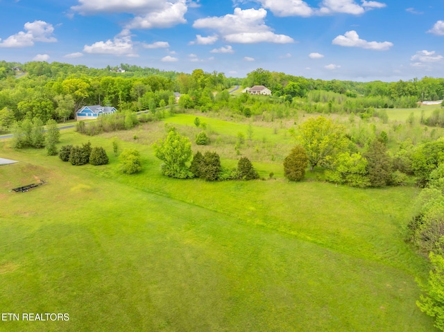 443 Water View Dr, Rockwood, TN 37854 - photo 18