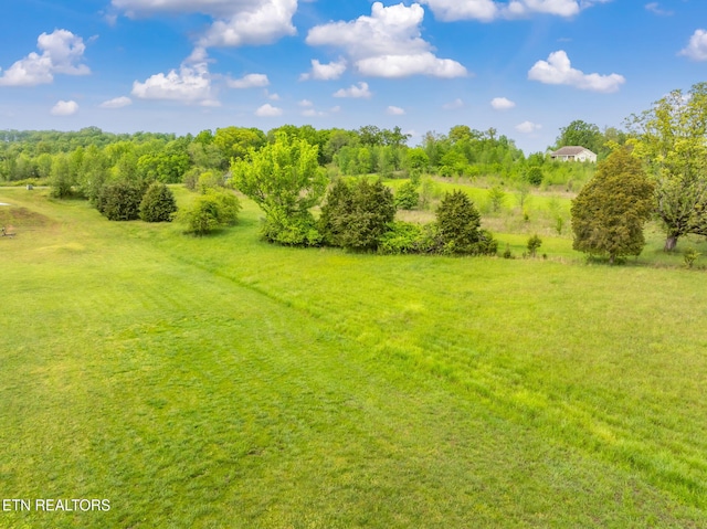 443 Water View Dr, Rockwood, TN 37854 - photo 19