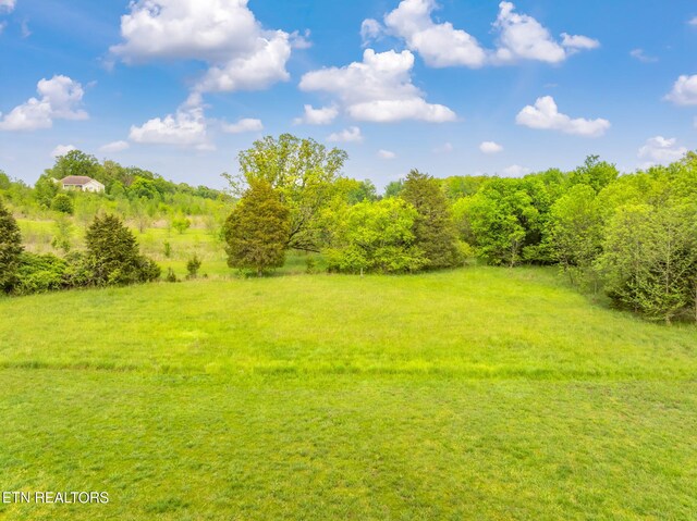 443 Water View Dr, Rockwood, TN 37854 - photo 20