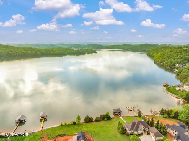 443 Water View Dr, Rockwood, TN 37854 - photo 22