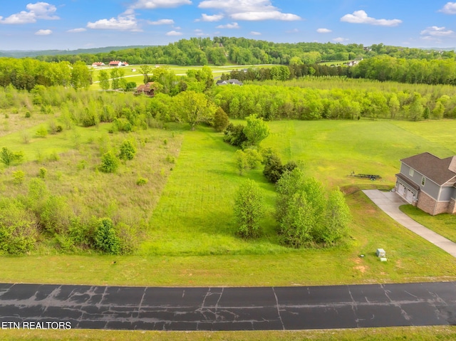 443 Water View Dr, Rockwood, TN 37854 - photo 24