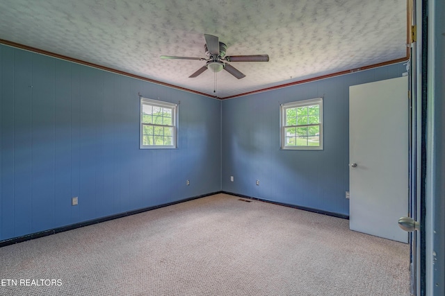 carpeted spare room featuring a ceiling fan, a wealth of natural light, crown molding, and a textured ceiling