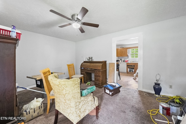 301 Hill St, Rocky Top, TN 37769 - sitting room featuring a ceiling fan, carpet flooring, a textured ceiling, and baseboards