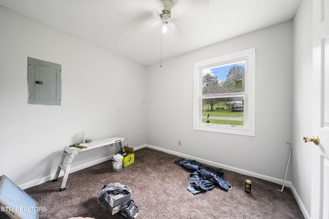 301 Hill St, Rocky Top, TN 37769 - interior space featuring electric panel, ceiling fan, carpet floors, and baseboards