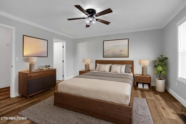 1228 Allardt Hwy, Jamestown, TN 38556 - bedroom with light wood-style flooring, baseboards, ornamental molding, multiple windows, and a ceiling fan