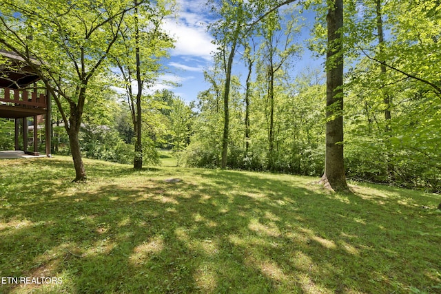 view of yard with a wooden deck