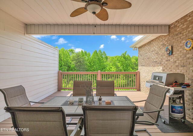 2027 Glacier Ave, Sevierville, TN 37862 - photo 14
