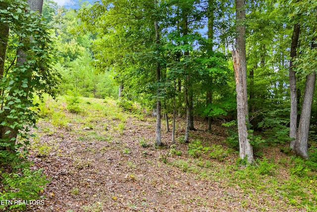 2221 Viewcrest Ln, Knoxville, TN 37932