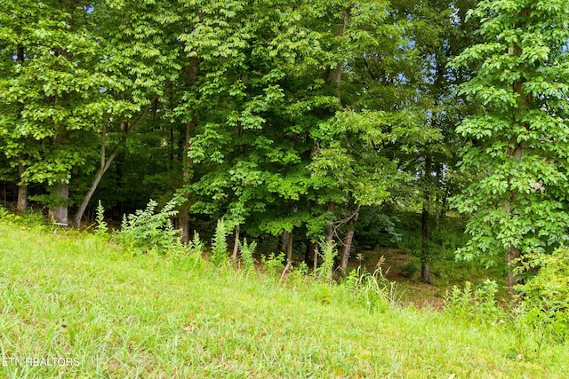 2221 Viewcrest Ln, Knoxville, TN 37932