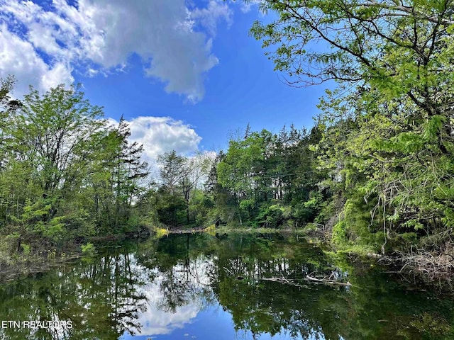 water view with a wooded view