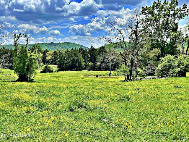 view of mountain feature with a view of trees