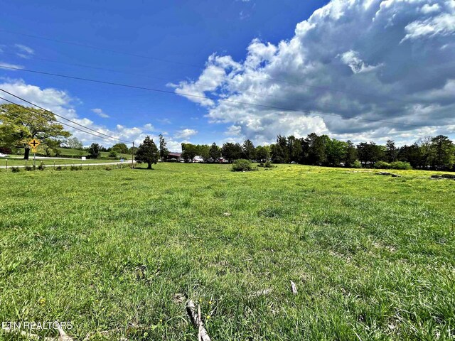 view of yard with a rural view