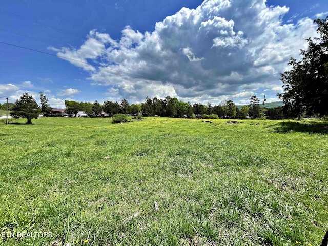 view of yard with a rural view
