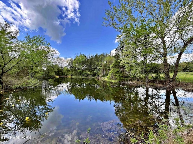 water view featuring a wooded view